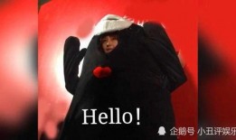 圈内爆料熊本熊,揭秘网红萌物背后的爆红传奇